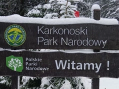 W Karkonoszach zima. Kiedy spadnie pierwszy śnieg we Wrocławiu?