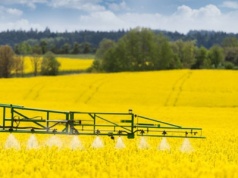 Najczęściej sprzedawaną substancją czynną w Brazylii był glifosat