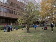 Studenci Politechniki Krakowskiej posadzili 6 tysięcy cebulek kwiatów (ZDJĘCIA)