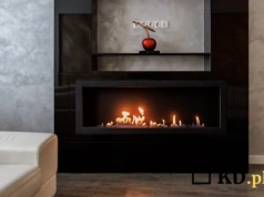 Drewno odchodzi do lamusa? To paliwo do kominka właśnie podbija polskie domy!