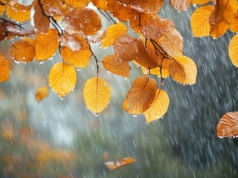 Pogoda na wtorek. Duże zachmurzenie i silne porywy wiatru