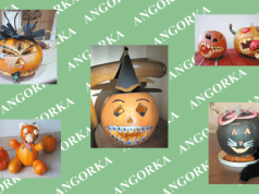 Wyniki konkursu. Wybraliśmy najpiękniejsze dynie!