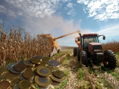 Rolnik musi to sprawdzić. Inaczej nie dostanie dopłat bezpośrednich 2025