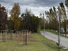 Pięknieje skwer w centrum miasta