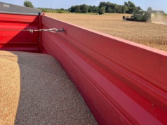 Znaczne wzrosty cen zbóż na światowych giełdach