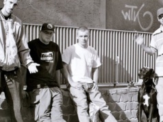 Będzie powrót Molesty. JWP też szykuje projekt