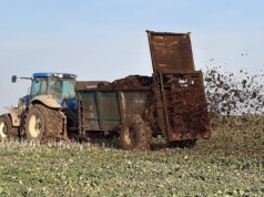 Jak wydłużyć termin na dostosowanie miejsc do przechowywania nawozów naturalnych?