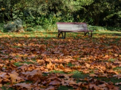 Pogoda na środę. Mało deszczu, ale i mało słońca
