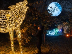 Ogród Botaniczny UW rozbłyśnie milionem świateł. Wystawa iluminacji znowu zachwyci