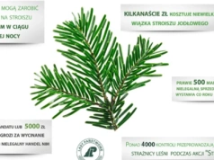 Ruszyła akcja "Stroisz". Nie kupuj kradzonego, pomożesz chronić lasy