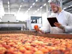 Przetwórnie idą pod młotek. Syndyk sprzedaje zakłady w Rykach i Milejowie