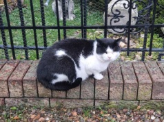 Został w nieczynnym ośrodku wczasowym. Maciuś potrzebuje domu