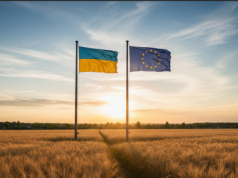 Nowa umowa handlowa UE–Ukraina weszła w życie. Co to oznacza dla polskich rolników?