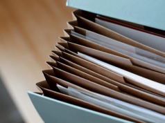 Vienna Life szacuje, że przekroczy 8% udziału w rynku z blisko 2 mld zł składki w 2025