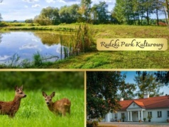 Nie ma mowy o żadnych odszkodowaniach. To opinia eksperta w sprawie kopalni w Rudzkim Parku Kulturowym