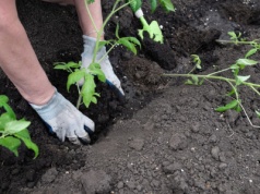 2 tysiące kary za dzielenie się z sąsiadem. Mało kto wie o tych przepisach