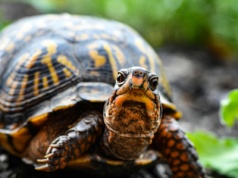 Jak tak dalej pójdzie, to sprawy sądowe staną się wysiłkiem dla kilku pokoleń