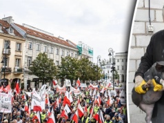 Haruje przy świniach. Żali się nie tylko na zarobki. "Papierzyska i wymysły"