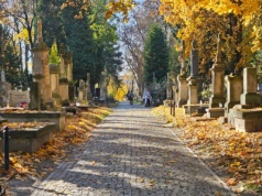 Wszystkich Świętych 2025. W jakich godzinach będą otwarte cmentarze w Lublinie?
