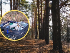 Leśnicy natknęli się na "niemiłą niespodziankę" w lesie. "Komentarz chyba jest zbędny"