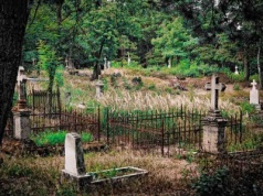 Zielona Góra. Cmentarz w lesie kryje mroczną tajemnicę zamordowanych maleńkich dzieci