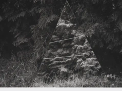 Fotografia artystyczna: natura jako rekwizyt