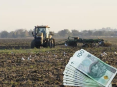 Ponad 140 tys. rolników dostanie 260 zł/ha. Ten ekoschemat bije rekordy popularności