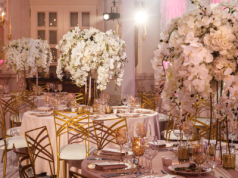 Magia dawnych tradycji powraca. Bal Kotylionowy 2025 w Rzeszowie!