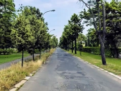 Przetarg na remont al. Ofiar Ludobójstwa OUN UPA w Legnicy