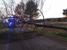 Silne wiatry w Łódzkiem. Ponad 100 zgłoszeń, dwa zerwane dachy