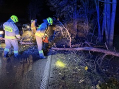 Ponad 700 interwencji strażaków. Silny wiatr daje się we znaki
