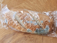 Gdzie wyrzucasz spleśniały chleb? Niby proste, a wielu z nas wciąż się myli