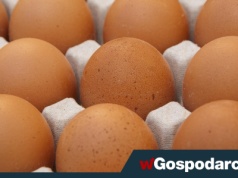 Jajka nawet o 60 proc. droższe