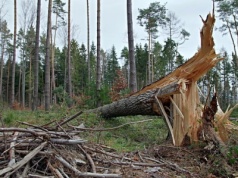 Silny wiatr na Warmii i Mazurach. IMGW wydało ostrzeżenia
