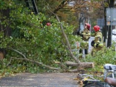 Ulewy i silny wiatr. Strażacy interweniowali ponad 1500 razy
