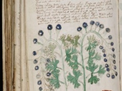 31 października w Historii Kresów