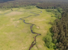 Polscy przyrodnicy mówią "dość". Wykupują bezcenne tereny na własną rękę