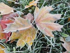 Nadchodzi chłodny piątek! IMGW ostrzega przed przymrozkami w woj. lubelskim