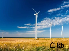 Myślisz o wiatraku zamiast paneli? Formalności są trudniejsze niż mogłoby się zdawać