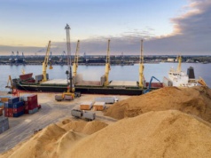 Eksport zbóż stoi, bo dyplomacji gospodarczej brak. Afera CPK i patelnia z Ikei przykrywają nieudolność rządzących