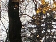 Czas chryzantem i spokoju. Jak Lublin przygotowuje się do Dnia Wszystkich Świętych