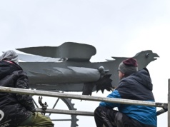 Szczecińskie ptaki wracają do życia. Jak feniks z popiołów