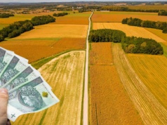 Wypłaty z ARiMR 2025 – pieniądze już na kontach rolników