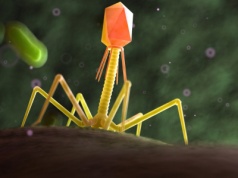 Polacy opracowali przełomową technologię. Uzdrowi ukraińskich żołnierzy