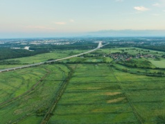 Pierwszy rezerwat przyrody powstaje we Wrocławiu