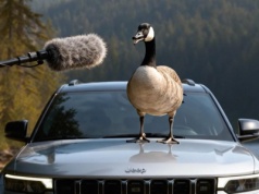 Jaki jest nowy Jeep Grand Cherokee 2026? Jeep spytał… dzikich zwierząt. Zabawna kampania reklamowa