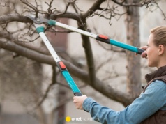 Nie przegap tego terminu. Zostały ostatnie dni, by zadbać o ogród