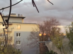 Przedświąteczny misz-masz