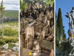 14 pytań z różnych dziedzin. Podejmij wyzwanie i sprawdź się