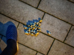 Dzieci na Halloween zaatakowały mieszkankę (ZDJĘCIA)